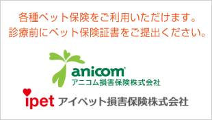 各種ペット保険がご利用頂けます。アイペット・アニコム対応